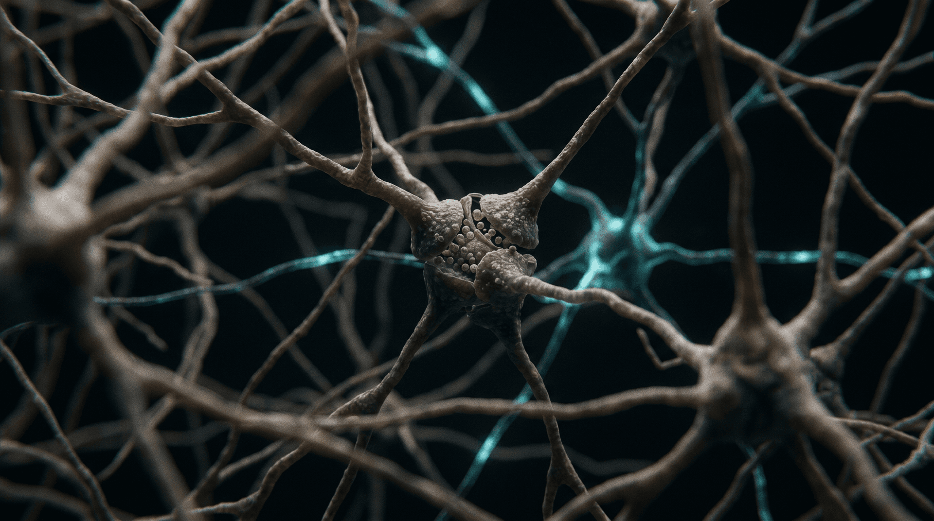 Semax: El péptido neuroprotector que está transformando la investigación cognitiva